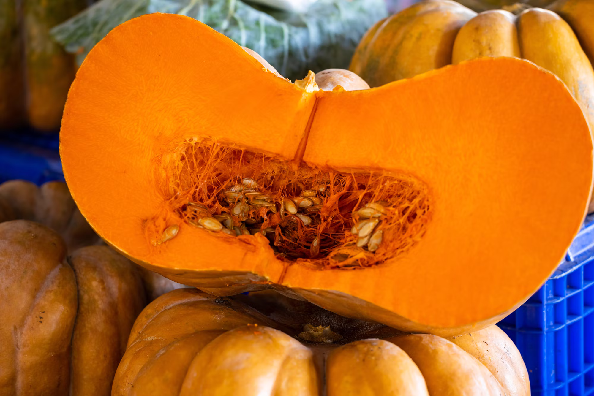 Exploring the Benefits of a Plant-Based Diet: A Path to Wellness